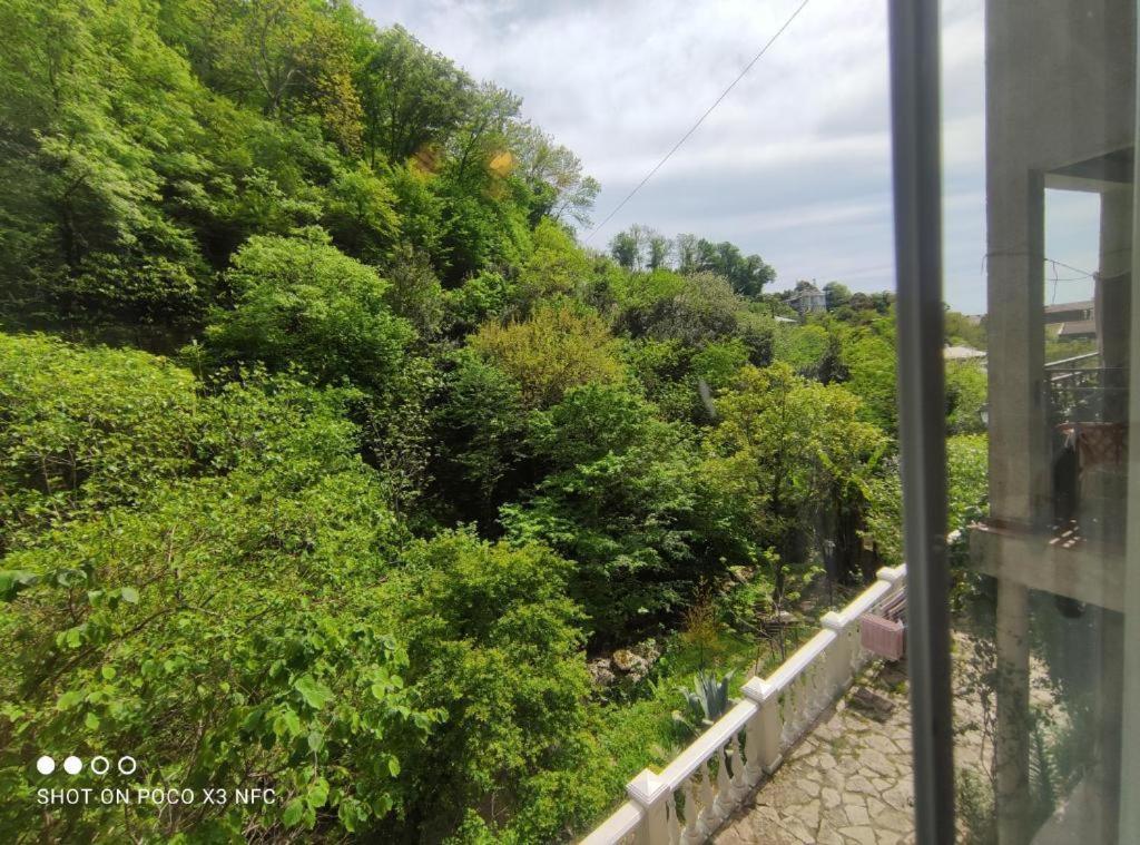 غاغرا Guest House Chalet Agave المظهر الخارجي الصورة